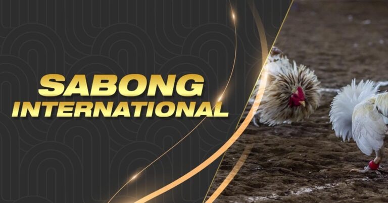 sss hotline what is a yankee bet