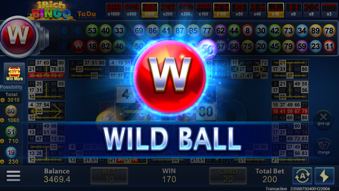 how to bet on horse racing in south africa